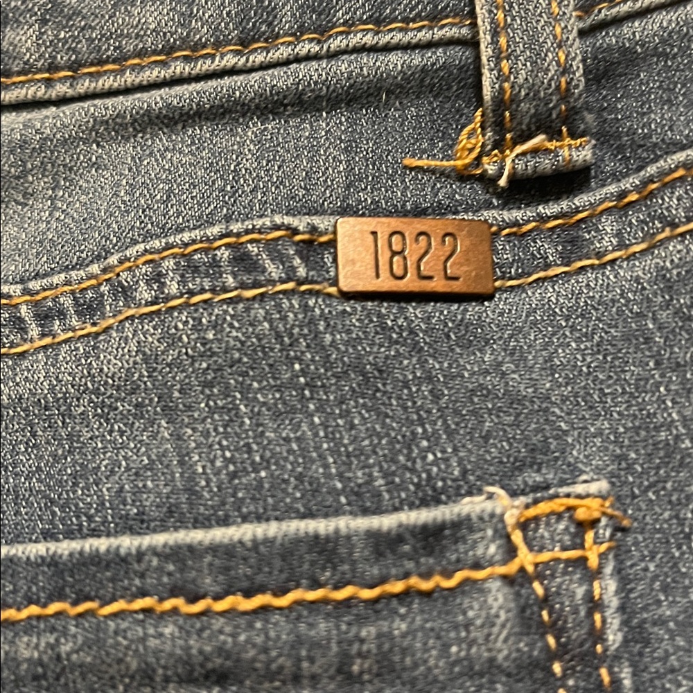 1822 Denim Premium Skinny Blue Denim Jeans